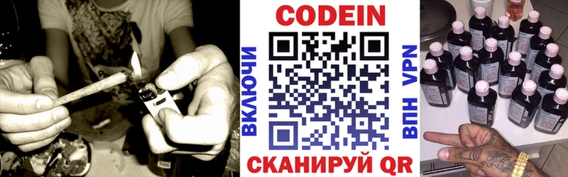 купить  сайты  кракен ТОР  Кодеин напиток Lean (лин)  Судак 