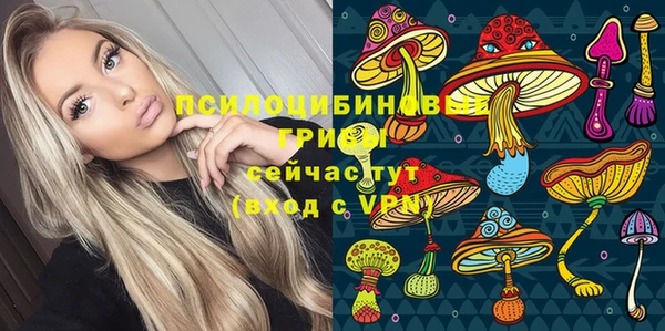 сатива Баксан