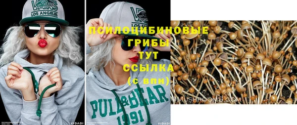 СК Балахна