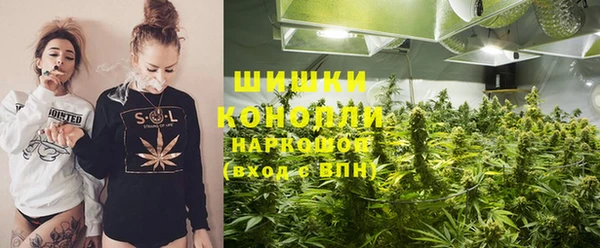 соль ск Сосновый Бор